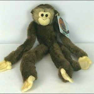 Fiesta Capuchin Monkey